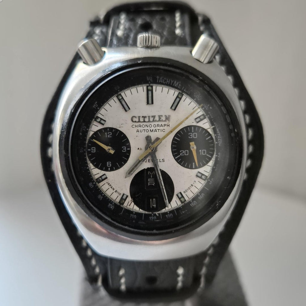 Citizen Bullhead