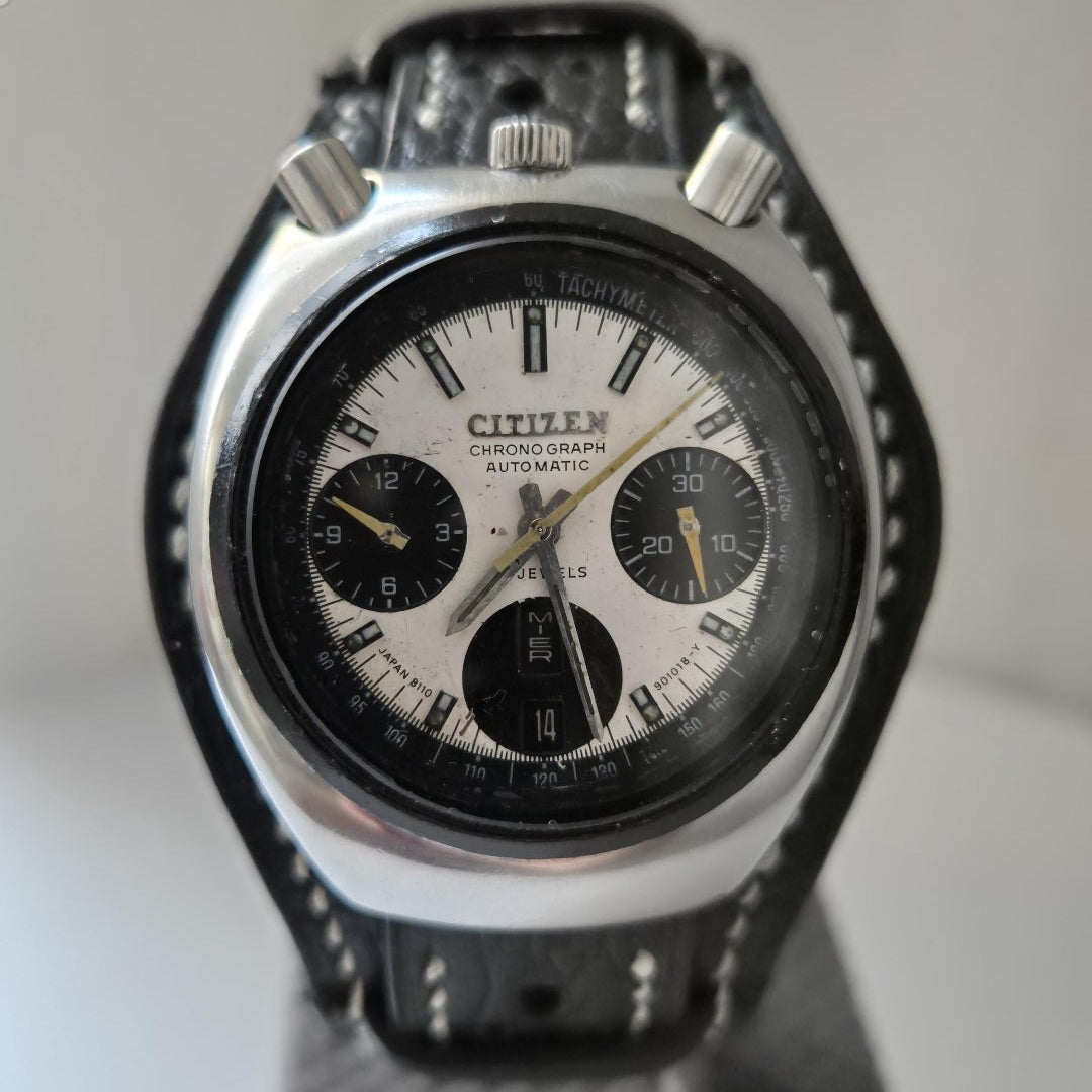 Citizen Bullhead